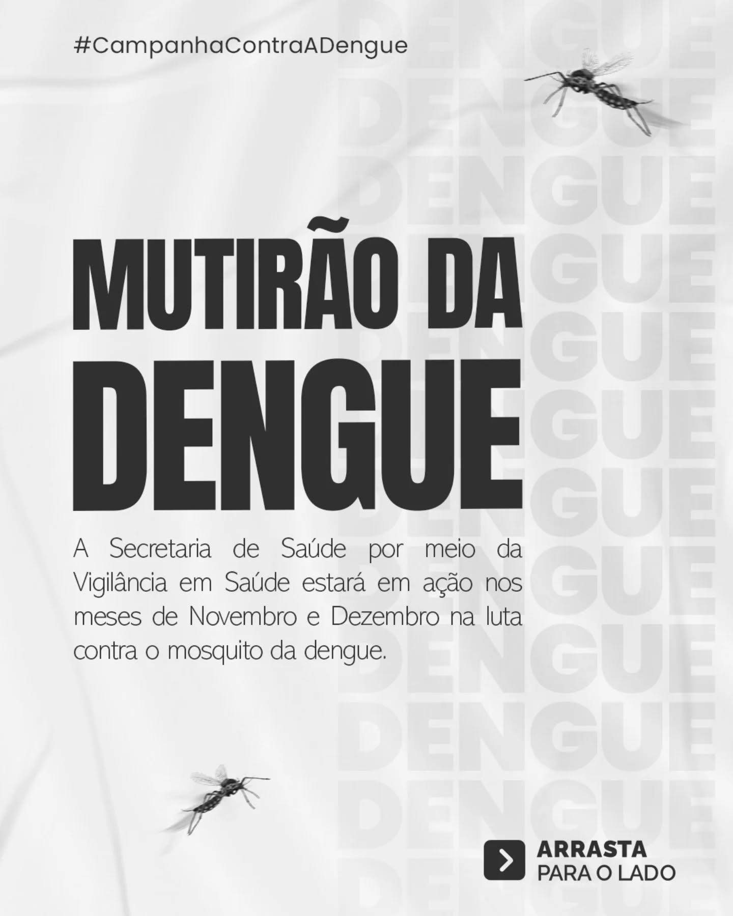 dengue 2