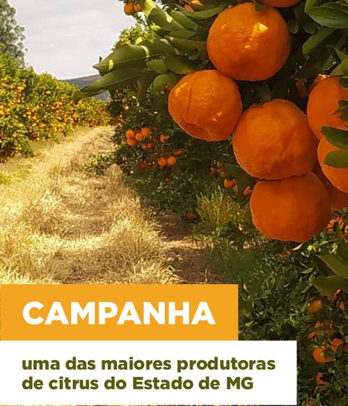 citricultura